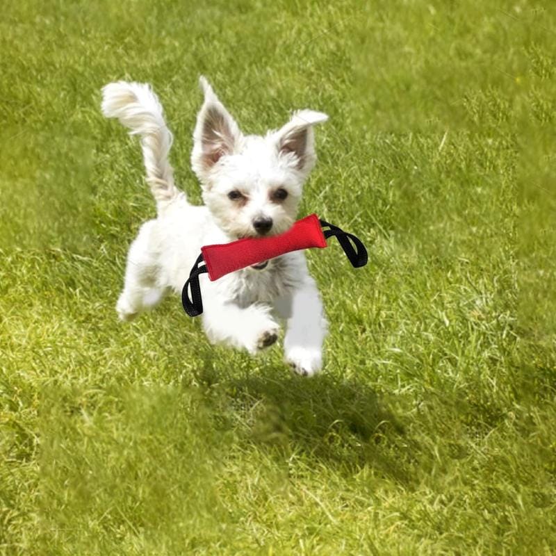 Juguete Perros Mordillo Adiestramiento Entrenamiento Canino