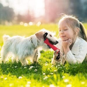 Juguete Perros Mordillo Adiestramiento Entrenamiento Canino