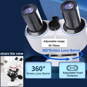 Microscopio Binocular 1000x
