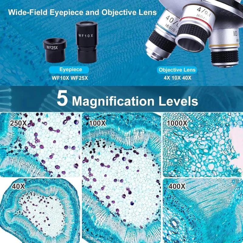 Microscopio Binocular 1000x